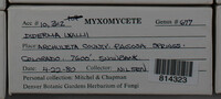 Image Associated With the Occurence
